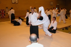 Yamashima Sensei ( Manchester 2004 )